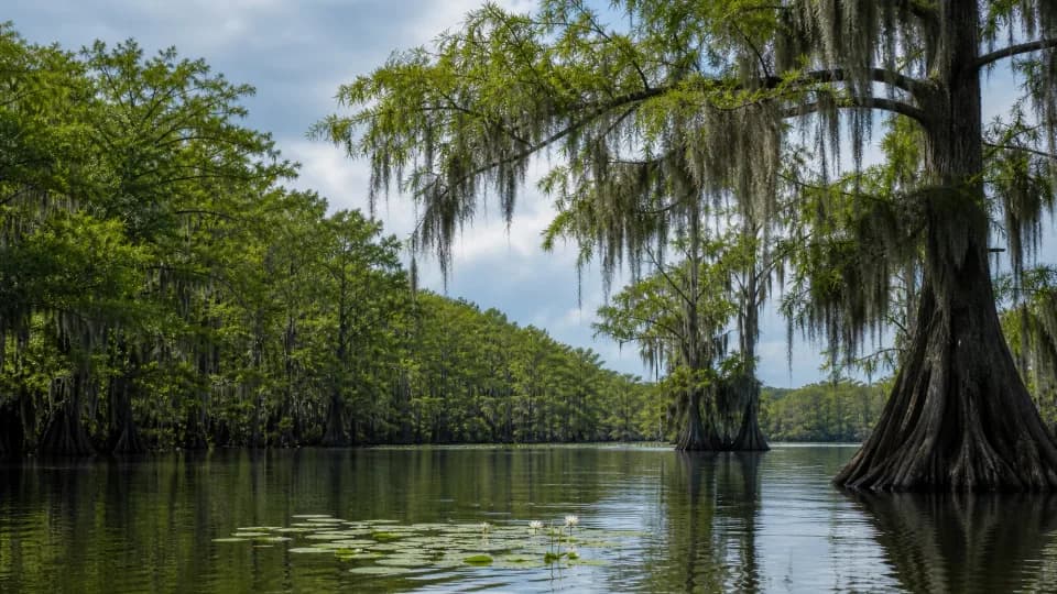 Caddo Lake RV trip