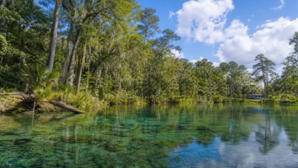 Ocala National Forest RV trip
