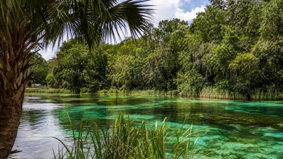 Wekiwa Springs and Blue Spring near orlando-fl