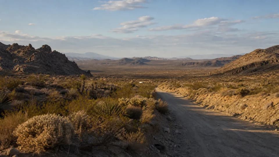 Mojave National Preserve near san-bernardino-ca