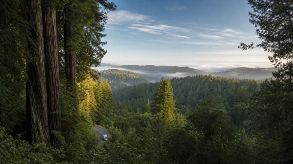 Henry Cowell and the Santa Cruz Mountains near santa-cruz-ca